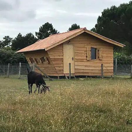 Gite - La Ferme A La Plage Льо Порж Екстериор снимка