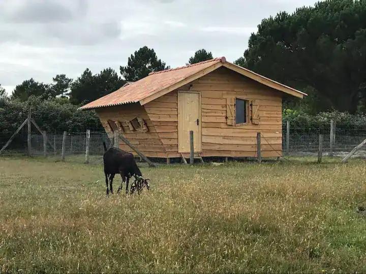 Gite - La Ferme A La Plage Льо Порж Екстериор снимка